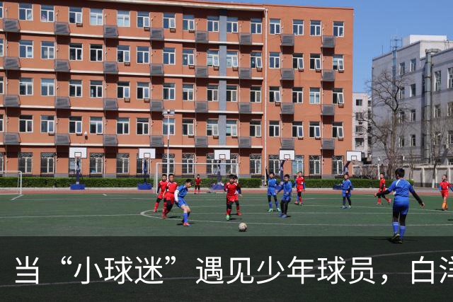 当“小球迷”遇见少年球员，白洋淀的这场体育文明实践课真“扎劲”